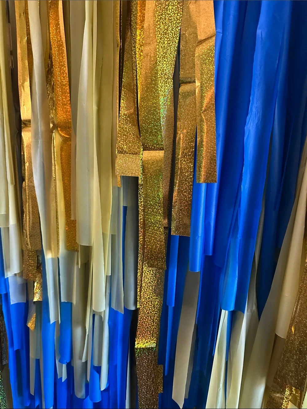 Fringe party backdrop